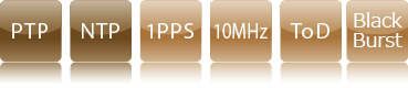 PTP NTP 1PPS 10MHz ToD Contact Output