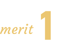 merit1