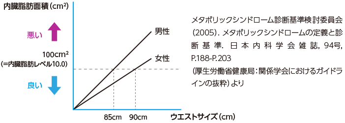 内臓 脂肪 率