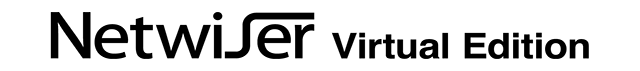 logo_Netwiser-VE
