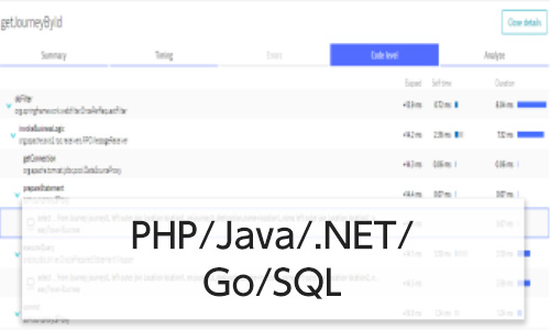 PHP/Java/.NET/Go/SQL