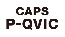 決済システム統合パッケージ CAPS P-QVIC
